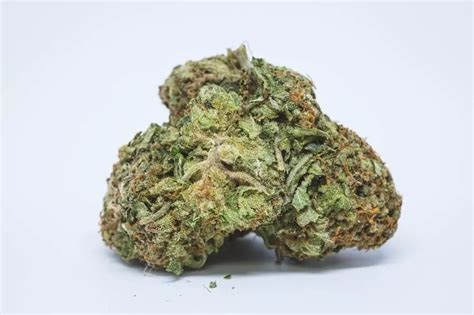 Cataract Kush Cannabis Seeds – Royal King Seeds - Feminized & Autoflowering Cannabis Seeds