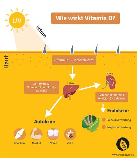 Vitamin D Mangel Erkennen Beheben Innonature