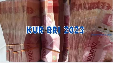 Kur Bri Hadirkan Peluang Cerah Bagi Umkm Indonesia Plafon