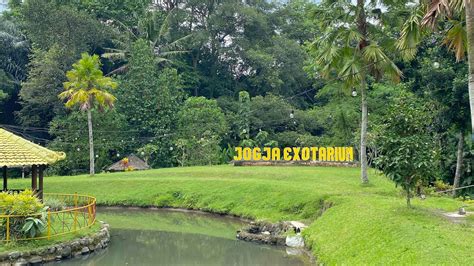 Mini Zoo Jogja Exotarium Taman Wisata Edukasi Ayogyaid