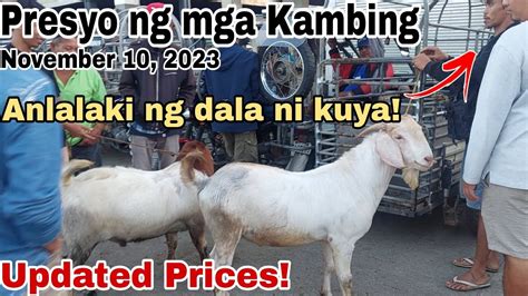 Updated Presyo Ng Kambing Sa Padre Garcia Batangas The Cattle