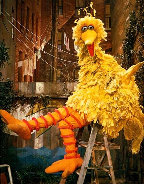 Big Bird Through the Years - Muppet Wiki - Wikia