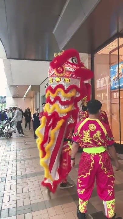 Chinese New Year Lion Dance Hong Kong Youtube