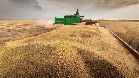 How Are Tons Of Soybeans Produced By American Farmers American