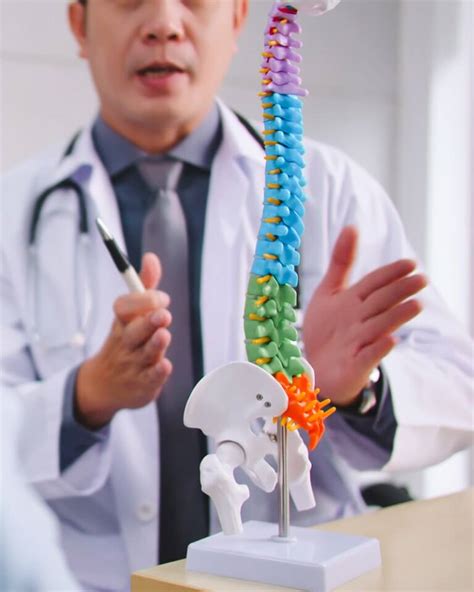 Spine Conditions Spine Treatments Proliance Surgeons