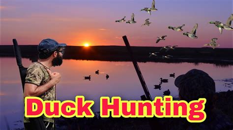 Duck Hunting Duck Hunting In Pakistan Murghabi Ka Shikar