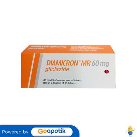 Jual Diamicron Mr 60 Mg Box 30 Tablet Shopee Indonesia