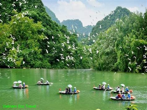 Thung Nham Bird Garden Ninh Binh Entrance Fee Tips Travel Map