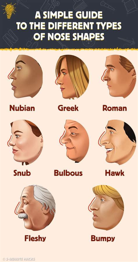 A Simple Guide To The Different Types Of Nose Shapes Nose Shapes