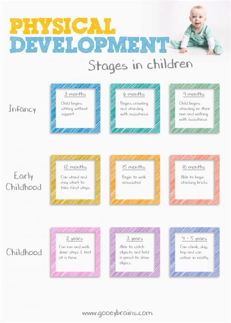 physical development stages  children physical development