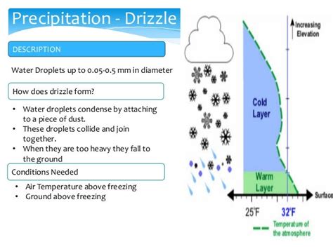 Precipitation Types