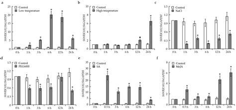 Ijms Free Full Text Contribution Of A Wrky Transcription Factor