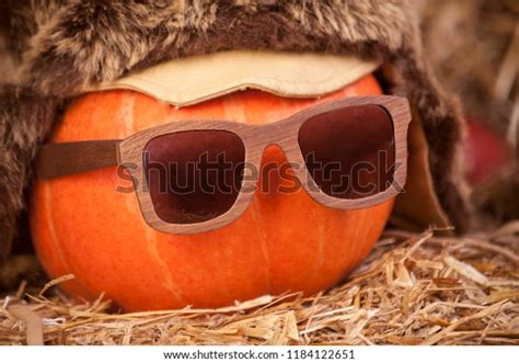 Pumpkin Wearing Glasses Photos Images And Pictures Shutterstock