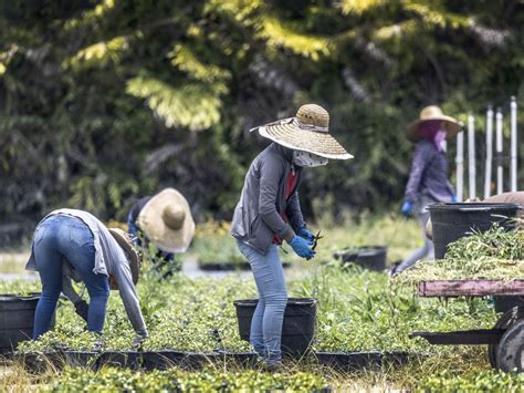 Uni N Europea Recomienda A M Xico Aprovechar La Mano De Obra Migrante