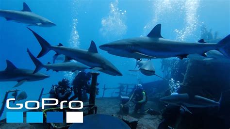 GoPro: Top 10 Underwater Moments