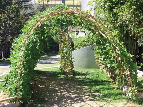 What Is The Difference Between Trellis And Pergola Factors Yard