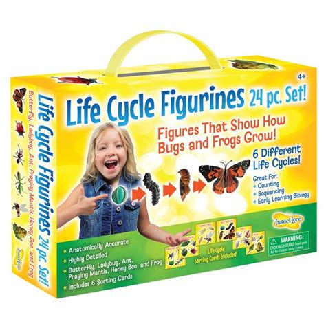 Insect Lore Life Cycle Figurines Set, 24 at Lowes.com