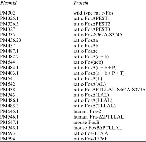 Expression vectors and corresponding proteins | Download Table