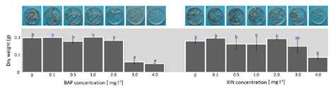 The Effect Of Varying Concentrations Of Cytokinins KIN BAP On The