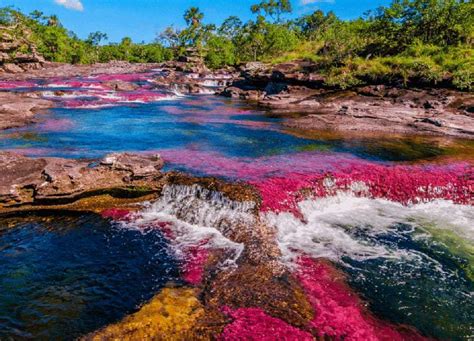 Caño cristales Viajes Mundo Colombia