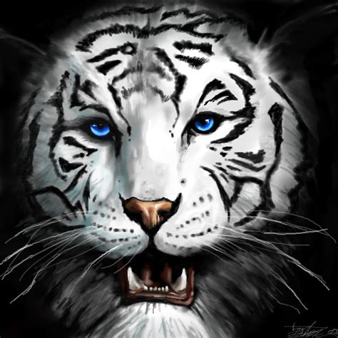 Black And White Tiger Drawing At PaintingValley Explore