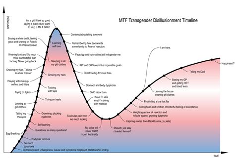 Body Stages Of Mtf Transition Timeline