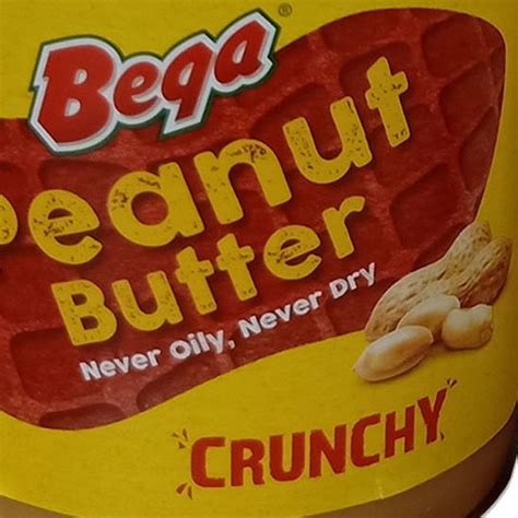 Bega Peanut Butter Smooth And Crunchy 500g Shopee Philippines