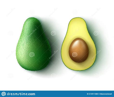 Abacado Inteiro E Meio Cortado Ilustra O Do Vetor Ilustra O De