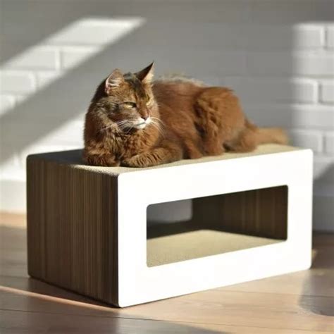 Griffoir Design En Carton Pour Chat