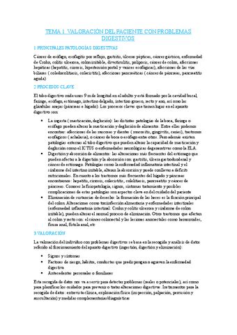 TEMA 1 ADULTO II Pdf