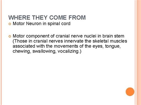 Upper And Lower Motor Neuron Function And Lesion