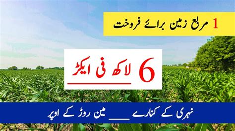 25 Acer Agriculture Land For Sale In Punjab Pakistan 25 Acer Zari