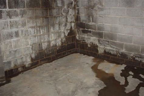 5 Reasons Why Water Seeps Through Basement Floors Or Walls Ark Basement Services