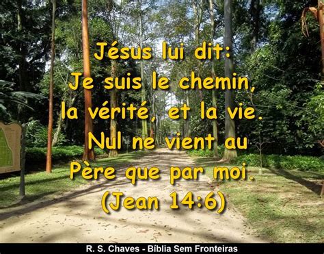 Free Bible Gospel To All Nations Je Suis Le Chemin La Vérité Et La