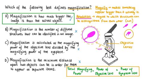 How To Calculate The Magnification Of A Microscope A Step By Step Guide