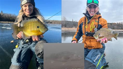 Early Ice Panfish Underwater Footage Youtube