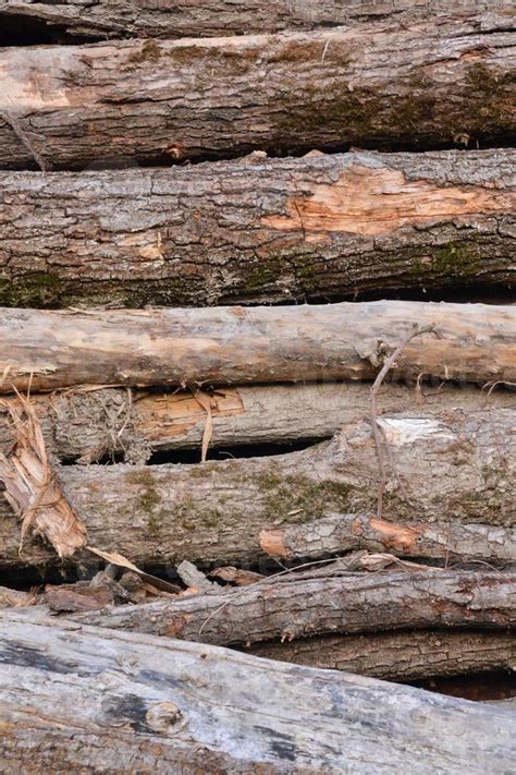 Wooden log background 20130692 Stock Photo at Vecteezy