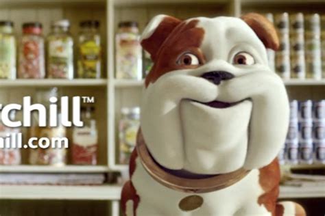 Churchill dog becomes shopkeeper in latest campaign