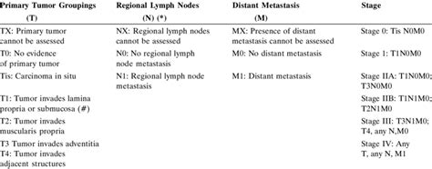 Staging Of Esophageal Cancer