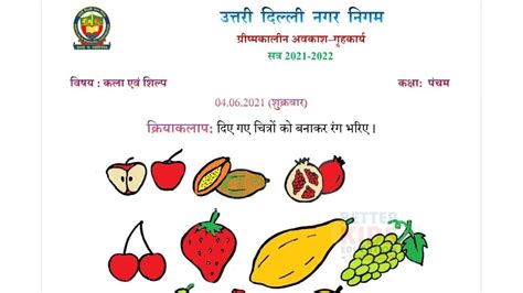 NDMC Class 5 Art And Craft Summer Vacations Holiday Homework In Hindi