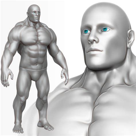 Muscular Man Zbrush Sculpt D Model Unknown Obj Ztl Free D