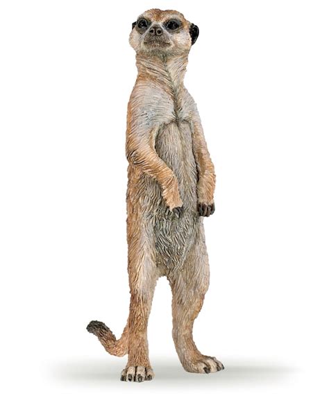 Papo Meerkat Standing 50206 - UK Specialists Toys&Learning