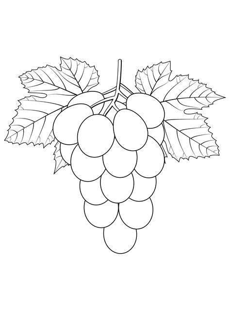 Grapes Coloring Pages To Download And Print For Free