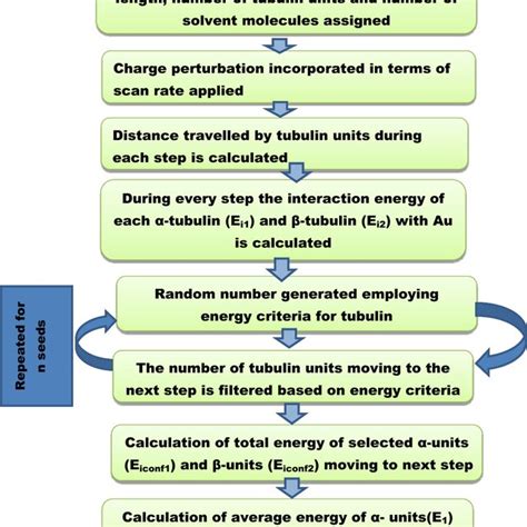 Flow Chart Of Monte Carlo Modelling Of Electrochemical Interface