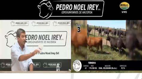 Resultados Del Remate Televisado De Pedro Noel Irey