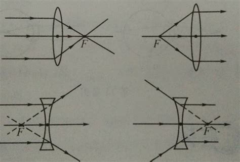 初二物理典型光路及凸透镜和凹透镜对三条特殊光线的作用 说明书网
