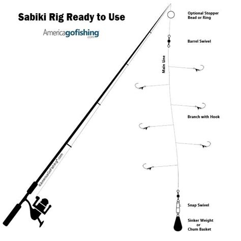 Fishing Hook And Line Setup