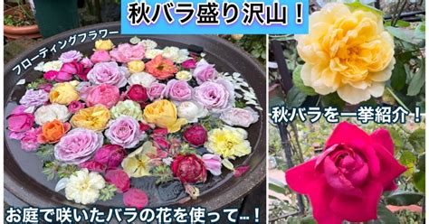 【秋バラ】一挙紹介！お庭で咲いたバラの花を使ってフローティングフラワーも行いました にこにこユートピアみよガーデン