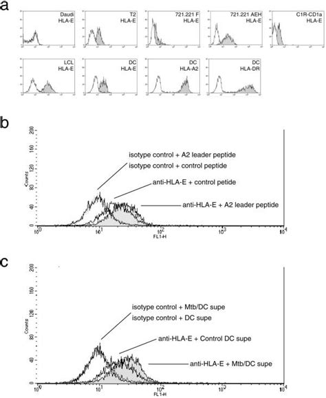 Cell Surface Expression Of Hla E And Stabilization By Download