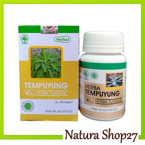 Jual Herbal HIU Tempuyung Kapsul Herbal HIU Tempuyung Original